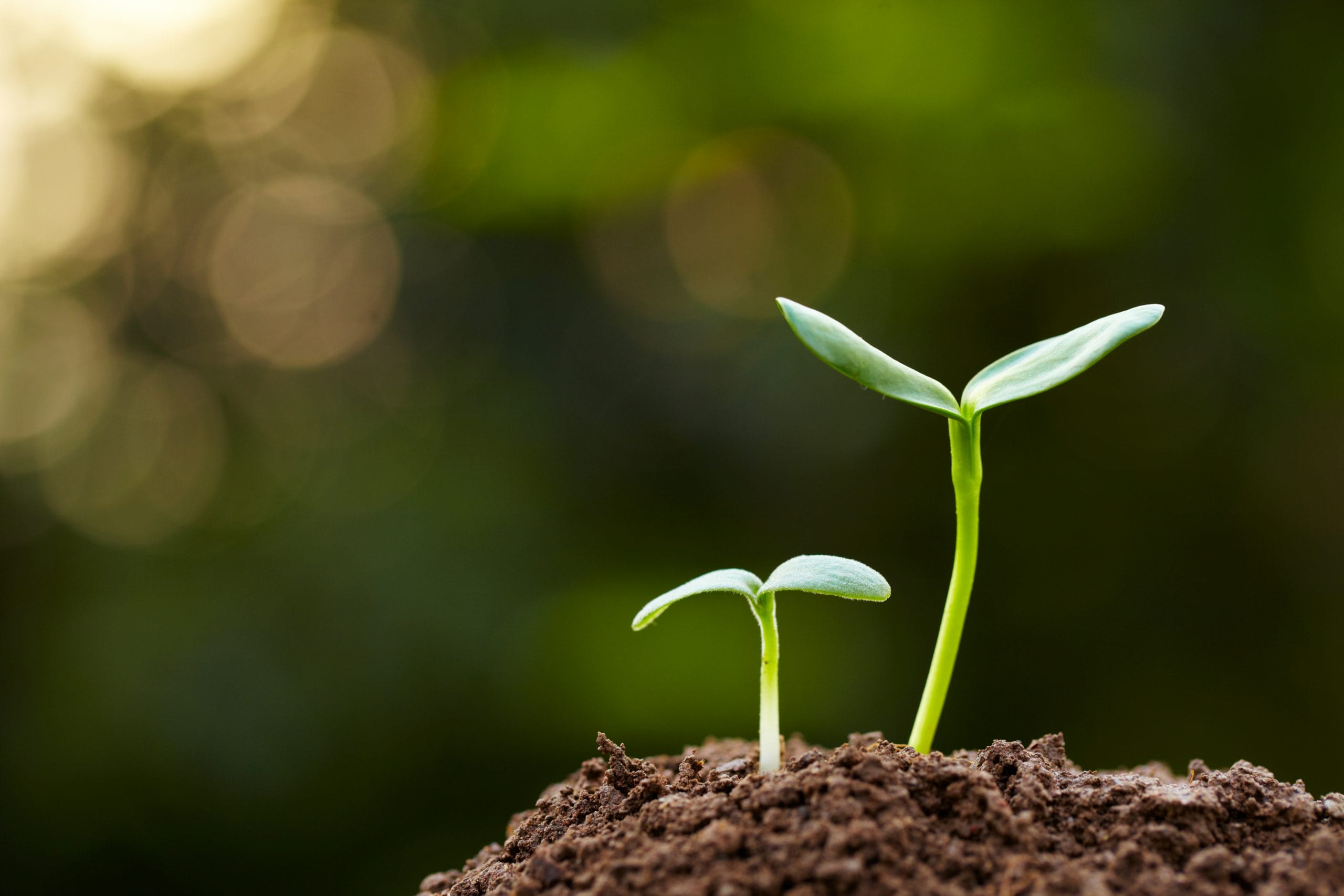 Agcareers.com