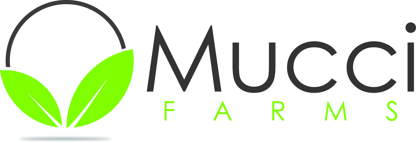 Mucci